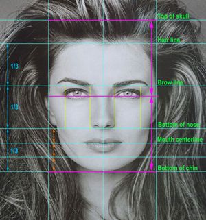 Face Proportions Drawing, Drawing Proportions, Facial Proportions, Face Proportions, Facial Anatomy, 얼굴 그리기, Drawing Heads, Anatomy Drawing, Body Drawing