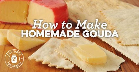 Gouda Cheese Recipes, Make Cheese At Home, Making Cheese At Home, Cheese Recipes Homemade, Recipes Cheese, Cheese At Home, Making Cheese, Food Bars, Cheese Cultures