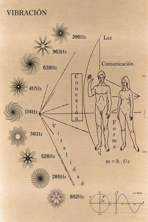 Sacred Science, Sacred Geometry Art, Yoga Mantras, Spirit Science, Energy Healing Spirituality, Vie Motivation, Chakra Yoga, Ancient Knowledge, Les Chakras