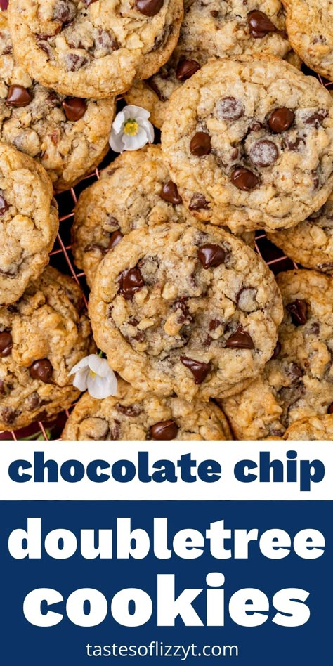 DoubleTree Chocolate Chip Cookies Doubletree Chocolate Chip Cookie Recipe, Doubletree Chocolate Chip Cookies, Doubletree Cookie Recipe, Doubletree Cookies, Potato Chip Cookies, Recipe Cookies, Best Cookies Ever, Cookie Bakery, Cookies And Brownies