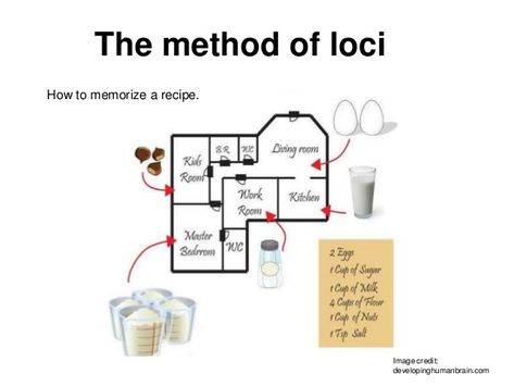 The method of loci is a strategy of memory enhancement which uses visualizations of familiar spatial environments in order to enhance the recall of information. The method of loci is also known as the memory journey, memory palace, or mind palace technique Memory Palace Mind Maps, Memory Palace Technique, Mind Palace Technique, Memory Tips, Bottles Decoration Wedding, Memory Palace, Mind Palace, Decoration Wedding, Mind Map