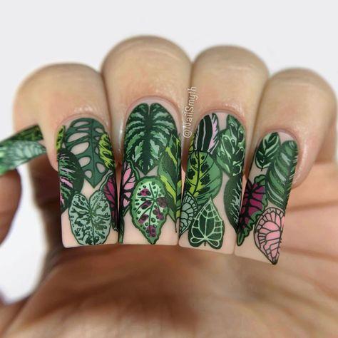 Marilynn (@nailsmyth) • Fotos e vídeos do Instagram Plant Nails, Pretty Leaves, Bright Summer Nails, Pretty Leaf, Different Nail Designs, Vacation Nails, Inspo Pics, Monstera Plant, Art Template