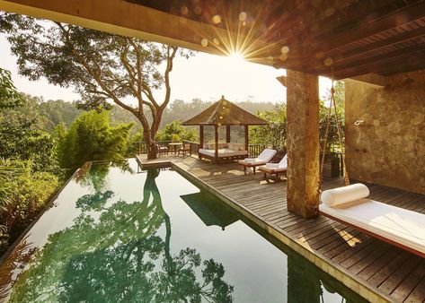 Where to stay in Ubud: 20 best hotels for any budget | Honeycombers Como Shambhala Estate, Como Shambhala, Ubud Hotels, Bali Honeymoon, Wellness Resort, Most Luxurious Hotels, Spa Retreat, Ubud Bali, Benidorm