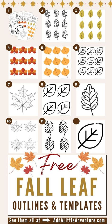 Free fall leaf printables for preschool art projects, autumn crafts, and leaf templates for fall-themed activities. Art Crafts Preschool, Fall Art Crafts, Fall Leaves Template Free Printable, Fall Leaves Template, Preschool Fall Art, Fall Art Ideas, Leaves Template Free Printable, Leaf Printables, Leaf Template Printable