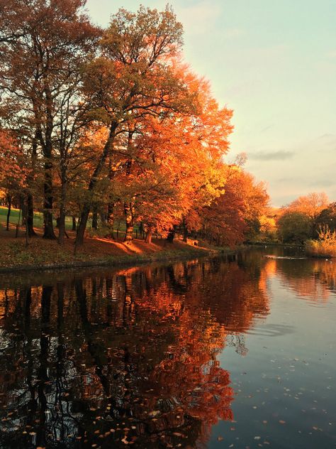 European Country Landscape, Autumn Duck Wallpaper, Autumn Lake Aesthetic, Acrylic Reference, Autumn Lake Photography, Autumn Wallpaper Hd, Pond Photography, Duck In A Pond, November Vibes