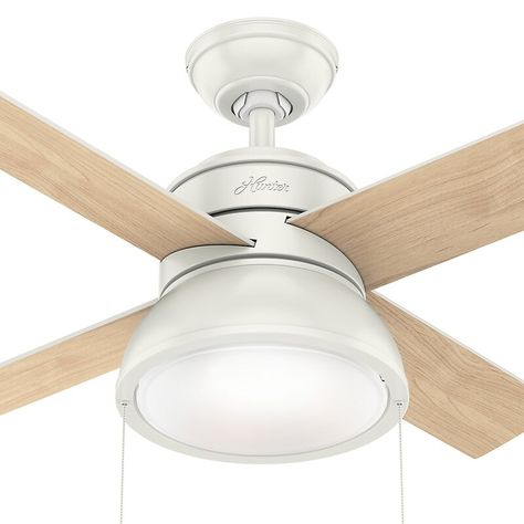 Hunter Fan 36" Loki 4 - Blade Standard Ceiling Fan with Pull Chain and Light Kit Included & Reviews | Wayfair Small Ceiling Fan, Keeping Rooms, White Ceiling Fan, Hunter Fan, Flush Mount Ceiling Fan, Fan With Light, Led Ceiling Fan, Ceiling Fan With Remote, Pull Chain