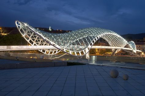 Bridges Architecture, Architecture Panel, Parametric Architecture, Santiago Calatrava, Parametric Design, Pedestrian Bridge, Bridge Design, Organic Architecture, Metal Structure