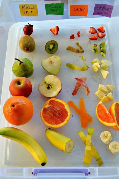 10 Sensory Activities for Babies Preschool Food, Senses Activities, Nutrition Activities, Food Activities, Food Science, Fruit Platter, Reggio Emilia, Food Themes, Fruit And Veg