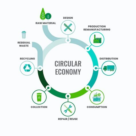 Free vector flat design circular economy... | Free Vector #Freepik #freevector #circular-economy #eco-friendly #ecology-infographic #eco Sustainability Advertising, Sustainable Infographic, Circular Infographic, Sustainability Infographic, Recycling Infographic, Economy Infographic, Workflow Design, Massage Room Design, Strategy Infographic