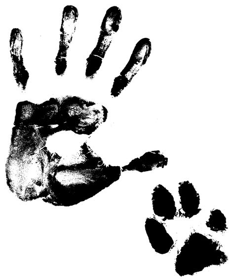 HandPaw Hand And Paw Drawing, Dog Paw And Human Hand Drawing, Paw Aesthetic Dog, Paws Wallpaper, Dog Paw Illustration, Cat Paw Illustration, Paw Illustration Dog, Paw Wallpaper, Physical Disabilities