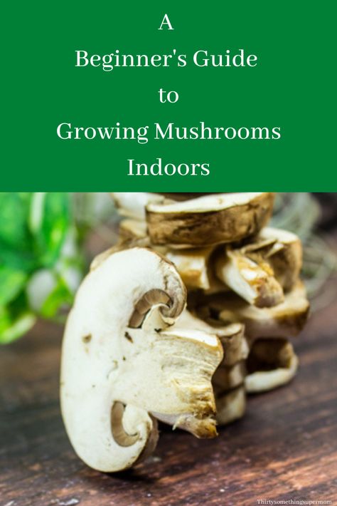 Have you ever wanted to learn how to grow mushrooms indoors? This beginner's guide will help you get started with the help of an expert. #indoorgarden garden #gardening #mushrooms #growyourown #organic #organicgardening Growing Mushrooms Indoors, How To Grow Mushrooms, Gardening Essentials, Mushroom Guide, Grow Mushrooms, Growing Mushrooms At Home, Mushroom Grow Kit, Mushroom Growing, Vegetable Pictures