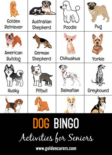 Dog themed picture bingo game.  Great for the residents that are dog lovers! I like to plan it when I know we have therapy dogs visiting as our next activity.  So when we finish and real dogs show up, they love it! Enjoy! Dog Bingo Free Printable, Dogs Activities, Games For Dog Party, Puppy Bingo Free Printable, Feed The Dog Activity Free Printable, Dog Themed Activities, Dog Therapy Activities, Dog Days Of Summer Crafts, Dog Themed Games