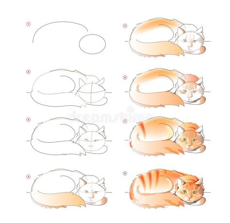 Watercolor Animals Tutorial, Ginger Cat Art, Sketch Cute, Cat Drawing Tutorial, Cats Art Drawing, Colored Pencil Tutorial, Cat Steps, Step By Step Watercolor, Drawing Clipart