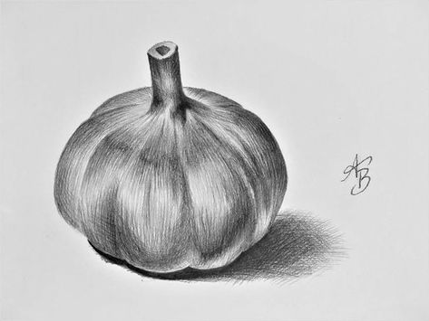 Tomato Sketch, Still Life Pencil Shading, Radha Govind, Still Life Sketch, Fruit Sketch, Vegetable Drawing, Fruits Drawing, Pen Art Drawings, Flower Art Drawing