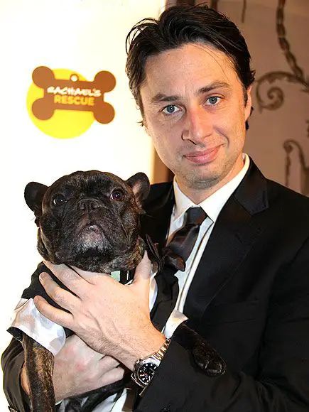 17 Celebrities Who Are Major French Bulldog Lovers - The Paws Long Haired French Bulldog, French Bulldog Cartoon, Zach Braff, Brindle French Bulldog, Baby French Bulldog, French Bulldog Names, Bulldog Names, French Bulldog Facts, Celebrity Dogs