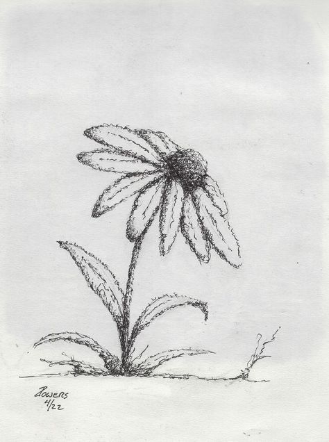 #daisy #pen #ink #sketch #art #drawing #flower #plant Daisy Drawing, Cute Sketches, Flower Sketches, Pen Sketch, Plant Drawing, Ink Sketch, Sketch Art, Flower Plant, Pen Ink