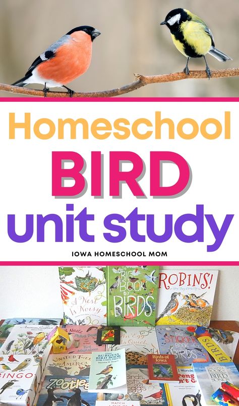 Bird Unit Study Elementary, Bird Activities, Unit Study Ideas, Books And Activities, Homeschool Nature Study, Unit Studies Homeschool, Homeschool Lesson Plans, Nature School, Study Ideas