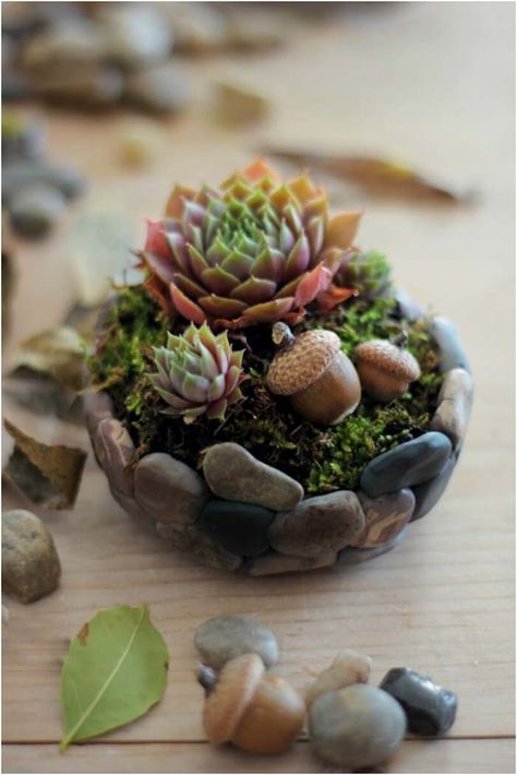 Diy River Rock, Rock Planters, Polymer Clay Fairy, Clay Fairies, Stone Planters, Mini Succulents, Have Inspiration, Diy Garden Projects, Cactus Y Suculentas