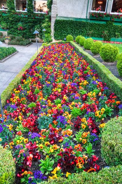 Pebble Flowers, Fruity Pebble, Japanese Tree, Rainbow Garden, Butchart Gardens, Vancouver Bc Canada, Garden Aesthetic, Most Beautiful Gardens, Fruity Pebbles