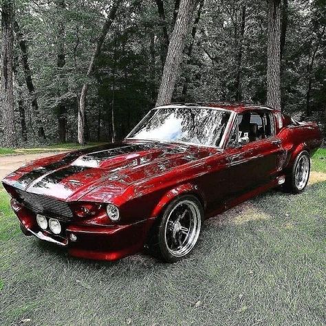 Candy Apple Ford Mustang Auto Jeep, Shelby Gt 500, Muscle Cars Mustang, Opel Gt, Mustang Gt500, Bmw Classic Cars, 2015 Mustang, Vintage Muscle Cars, Shelby Gt