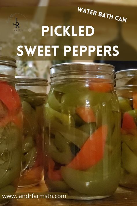 Pickled bell peppers are great on pizza or salads! #canningforbeginners #canningpeppers #bellpepperrecipes Canning Sweet Peppers, Pickled Bell Peppers Recipe, Green Bell Pepper Recipes, Canning Bell Peppers, Peppers Pickled, Pickled Sweet Peppers, Pickled Pepper Recipe, Green Pepper Recipes, Sweet Pepper Recipes