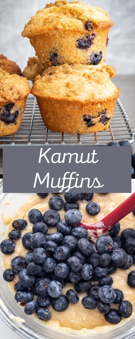 If you are looking for a healthier muffin recipe, how about these kamut muffins? They are made with an ancient grain flour, but are still moist and delicious. Let me teach you how to make whole wheat muffins that you will love! Kamut Flour Cookies, Kamut Blueberry Muffins, Kamut Flour Recipes, Kamut Muffins, Kamut Bread Recipes, Kamut Recipes, Fruit Pizza Topping, Gf Bread Recipe, Wheat Muffins