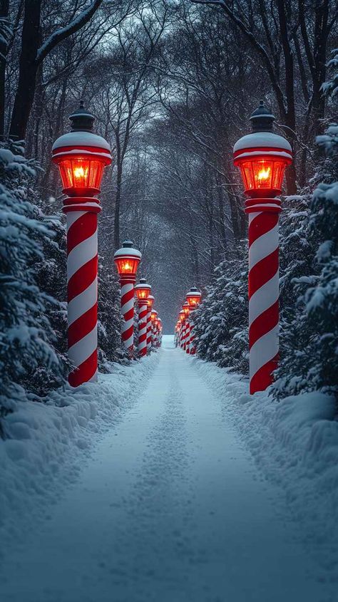 Stunning 8K mobile wallpaper featuring a snow-covered path illuminated by enchanting candy cane-striped lamps. Perfect for a festive winter vibe. Cane Lights, Snowy Path, Png Download, Mobile Wallpaper, Free Png, Winter Wonderland, Candy Cane, Png Images, Lamps