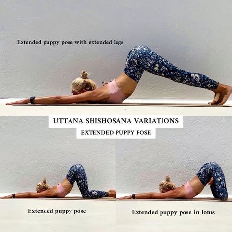 Extended Puppy Pose Yoga, Extended Puppy Pose, Puppy Pose Yoga, Yoga Teaching, Beginner Ab Workout, Puppy Pose, Yoga Poses Advanced, Yoga School, Pose Yoga