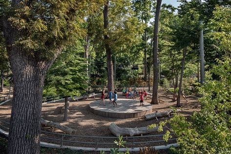 Forest Park Landscape Design, Pavilion In Forest, Forest Playground, Forest Amphitheater, Forest School Structures, Landmark Forest Adventure Park, Skateboard Park, Prairie Planting, Landscape Structure