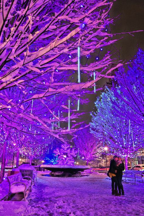 7 best places to see Christmas light displays in the Asheville, North Carolina, area - including downtown & Winter Lights. #asheville #northcarolina #christmas #holidayseason Winter Lights, Christmas Dreaming, Christmas Light Displays, Purple Christmas, Winter Light, Christmas Feeling, Asheville North Carolina, Christmas Wonderland, Winter Scenery