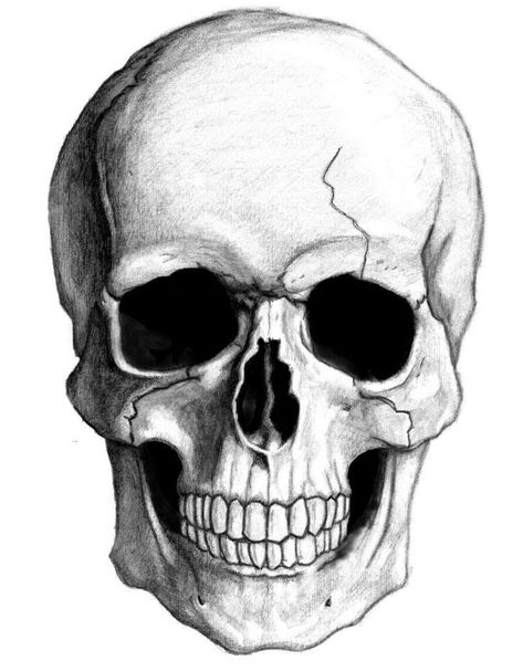 Skull Drawing Sketches, Vintage Dictionary Pages, Black Pen Drawing, Chest Tattoo Ideas, Skull Art Tattoo, Harry Potter Art Drawings, Skull Realistic, Surreal Tattoo, Skull Sketch