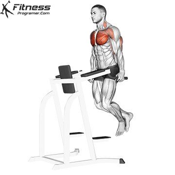 Best Tricep Exercises, Arm Workout Gym, Parallel Bar, Free Workout Plans, Biceps Brachii, Chest Exercises, Best Chest Workout, Tricep Dips, Arm Muscles