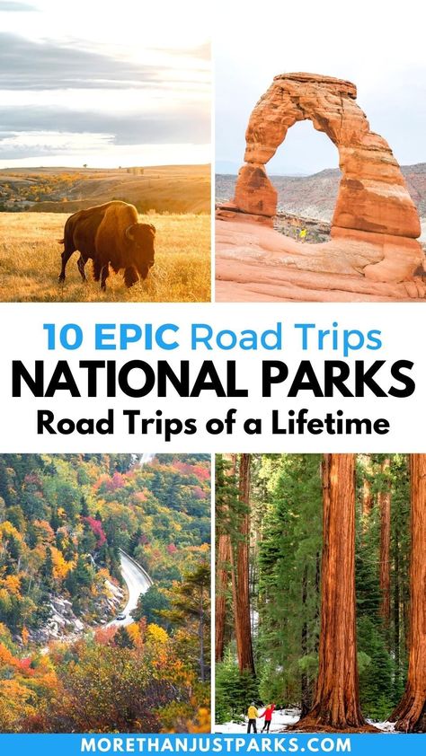 Planning a national parks road trip are we? We've spent the past decade in the parks doing nearly every national park road trip imaginable. We've ranked them all here! #nationalparks #roadtrip #usa #travel National Parks Road Trip Map, Road Trip Yellowstone, Road Trip East Coast, National Park Road Trips, National Parks Road Trip, Utah National Parks Road Trip, Road Trip Camping, Road Trip Map, National Park Camping