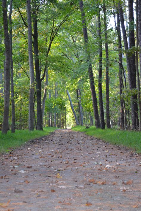 Newport News Virginia, Usa Bucket List, Nature Story, Wildlife Rehabilitation, Forest Habitat, Tourism Development, Virginia Travel, Newport News, Texas Travel