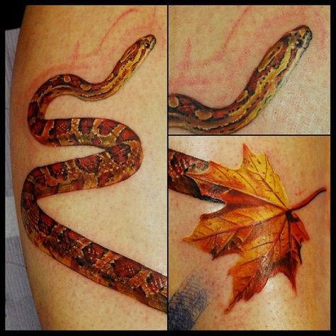 the start of a corn snake tattoo Artist: Justin Buduo Corn Snake Tattoo, Tattoo Artist Quotes, Cross Shoulder Tattoos, Geometric Compass Tattoo, Dragon Thigh Tattoo, Tattoo Word Fonts, Thigh Tattoo Men, Tattoo Snake, Borneo Tattoo