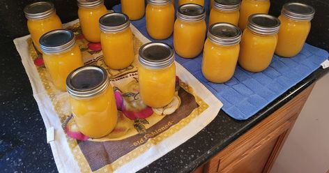 Preserving Sunshine: A Beginner's Guide to Homemade Orange Juice Using the Water Bath Method Canned Orange Juice, Orange Juice Concentrate Recipes, Canning Orange Juice, Canning Oranges, Canning Fruit Recipes, Homemade Orange Juice, Orange Juice Recipes, Pressure Canning Recipes, Canning Process