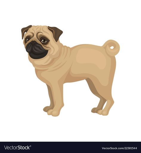 Pug Illustration, Animal Clinic, Vet Clinic, Pet Clinic, Vet Clinics, Beige Coat, Toy Dog, Flat Vector, Pet Store