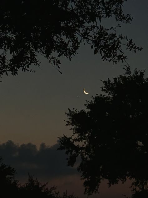 moon pretty nature tree - my own photography Moon Through Trees, Moon In Forest, 13 Reasons Why Aesthetic, Moon Forest, Pretty Nature Pictures, Lunar Witch, Moon Nature, Artistic Ideas, Pretty Trees