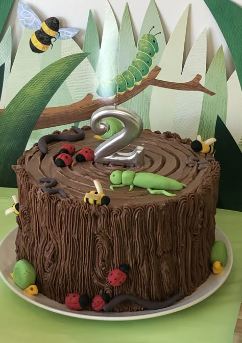 Insect Cakes For Boys, Bug Theme Birthday Cake, Insect Theme Cake, Bug Party Cake, Bug Smash Cake, Bugs Birthday Cake, Bug Theme Cake, Insect Cake Ideas, Insect Birthday Party Decorations