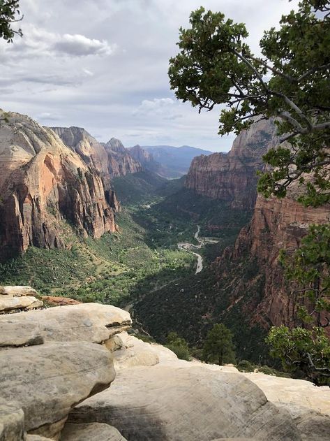 Angels Landing, Zion National Park Angels Landing Zion National Park, Zion Elopement, Angels Landing Zion, Environment References, Tumblr Page, Angels Landing, Earth Nature, Zion National Park, Beautiful Mountains