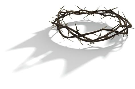 Jesus Crown, Church Media Design, Church Banners, Crown Of Thorns, Banner Background Images, Stock Photography Free, The Only Way, Art Techniques, Grapevine Wreath