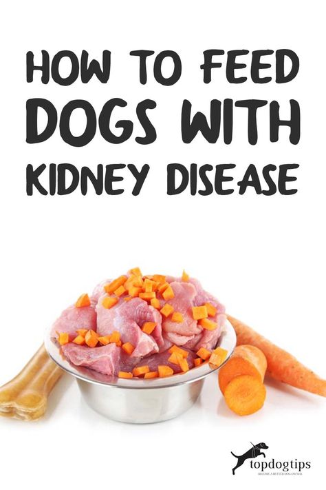 Kidney Diet For Dogs, Kidney Recipes, Cheesy Chicken Broccoli, Broiled Chicken, Kidney Diet, Boiled Chicken, Roasted Chicken Breast, Raw Diet, Dog Diet