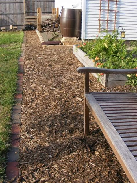 How to build a wood chip path in your garden this spring Wood Chips Landscaping, Wood Chips Garden, Cozy Garden, Path Ideas, Backyard Paradise, Backyard Playground, Better Homes And Garden, Wood Chips, Garden Oasis