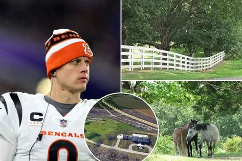 Joe Burrows, Joe Burrow Cute, House Purchase, Ligament Tear, Joe Burrow, Nfl History, Raised Eyebrow, Horse Ranch, Ohio River