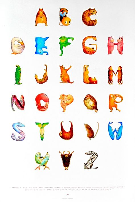 alphabet Animal Alphabet Letters, Alphabet Nursery, Alfabet Letters, Animal Letters, Typography Alphabet, Creative Lettering, Illuminated Letters, Alphabet Design, Animal Alphabet