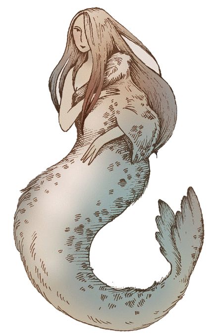 Selkie Study – But first, let me take a selkie Selkie Mythology, 동화 삽화, Mermaids And Mermen, Mermaid Art, Monster Girl, A Mermaid, Creature Art, Fantasy Creatures, Mythical Creatures