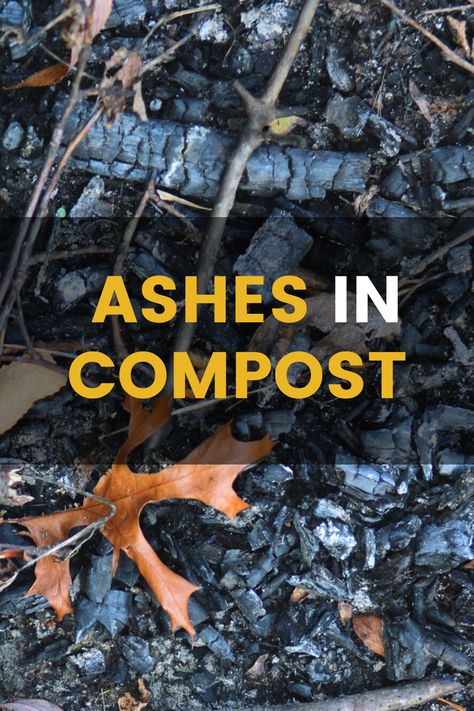 Ashes In Your Compost? What Are The Dos and Don'ts. There are a few tricks for you to know when and how to use ashes as fertilizer or put ashes in your compost. Are ashes good for plants? Can I put wood ash in my compost? Are ashes good for soil? Dive into this article to find these answers. #ash #ashes #compost #composting #ashesincompost #compostpile #vermiculture #vermicomposting #bokashi #organic #healthysoil #woodash #compost101 Ash For Garden, Compost Storage, Vermicomposting Worm Farm, Homemade Plant Fertilizer, Organic Fertilizers, Composting 101, Plant Fertilizer, Interesting Plants, Compost Tumbler