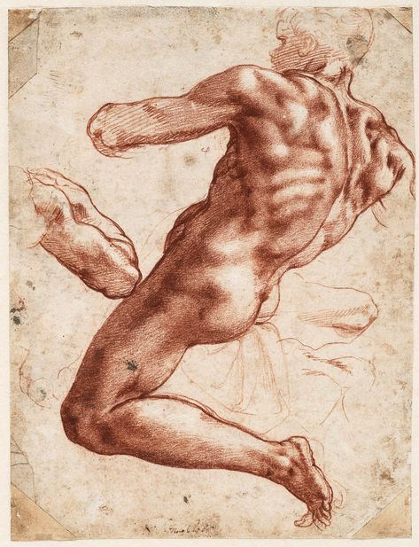 Why Did Michelangelo Use Red Chalk? | The Getty Iris Sistine Chapel Ceiling, Male Figure Drawing, Master Drawing, 얼굴 그리기, Human Figure Drawing, Sistine Chapel, Cleveland Museum Of Art, Anatomy Drawing, Figure Drawing Reference