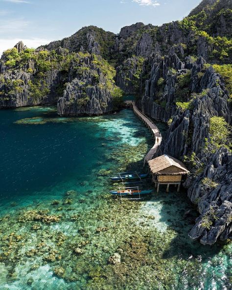 Choose only one master NATURE Palawan #nature #teesylvania #photos #amazingworld #world #amazingphotography #naturephotography #photography #incrediblephotos Check out teesylvania.com to find out how you can support the forests with style! Coron Palawan Photography, Philippines Landscape, Coron Palawan Philippines, Coron Palawan, Trip Destinations, Sea Resort, Palawan Philippines, Best Flights, Coron