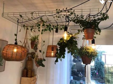 e Plant Ceiling Decor, Plants Ceiling, Plant Ceiling, Decor With Lights, Indoor Plant Trellis, Vintage Ceiling Light Fixtures, Vaulted Ceiling Lighting, Therapy Rooms, Farmhouse Chandelier Lighting